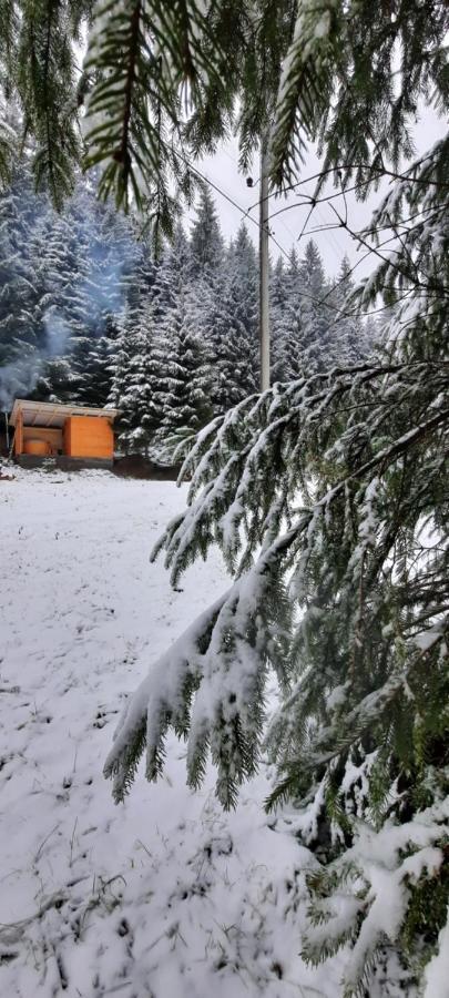 Сімейний Номер 1 Садиба У Ані Synevyrsʼka Polyana Esterno foto